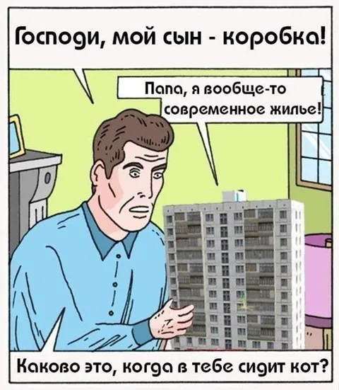Современное жильё для кота