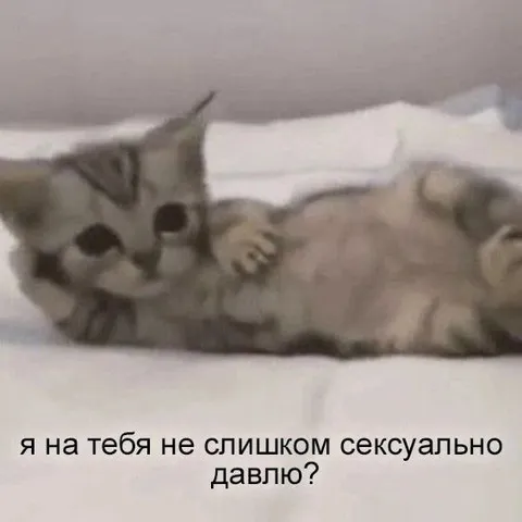 Я на тебя не слишком давлю?
