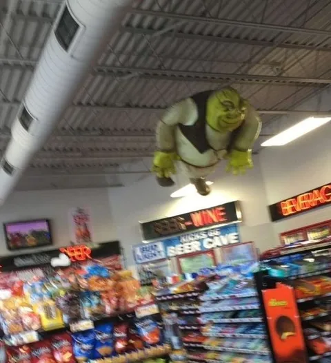 Shrek Flying Through the Store