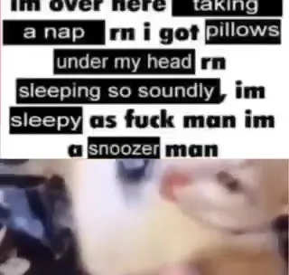 Sleepy as Fuck Cat