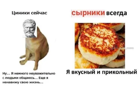 Циники и сырники