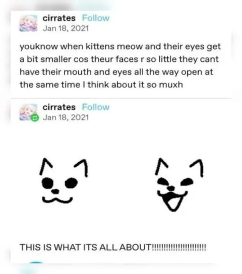 Kittens Cannot Open Eyes and Mouth