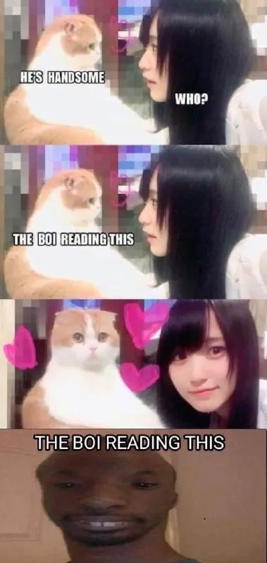 The Boi Reading This
