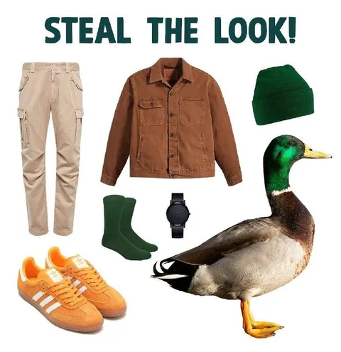 Steal the Duck’s Look