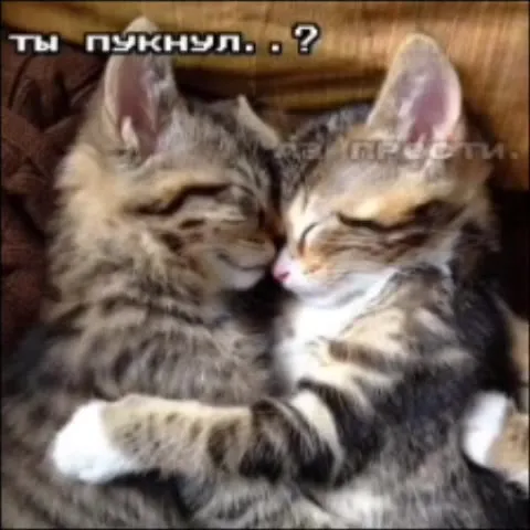 Я тебе этого никогда не прощу