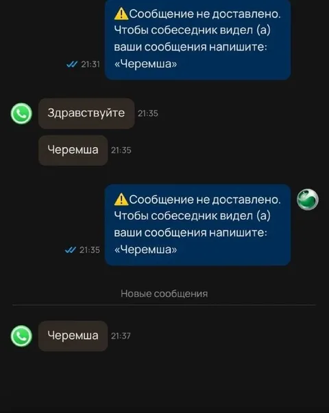 Напишите «Черемша»