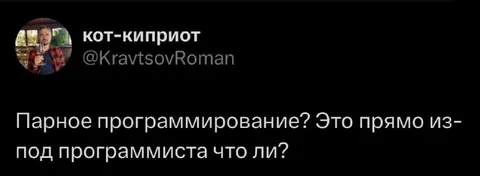 Шутка про парное программирование