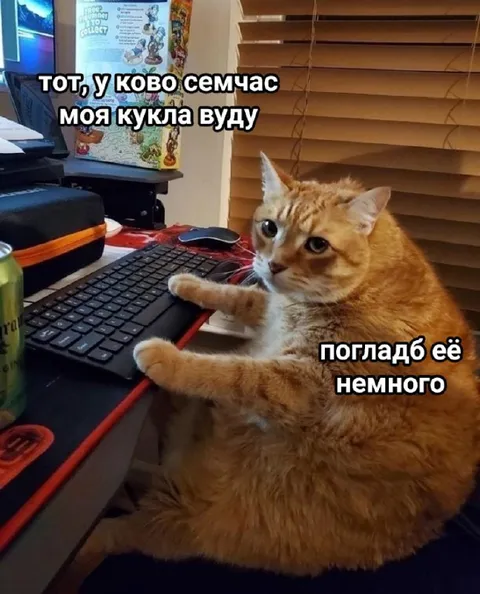 Кот просит погладить куклу вуду