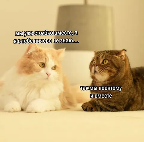 Вместе, но ничего не знаем