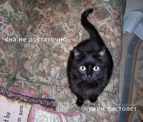 Когда сна недостаточно