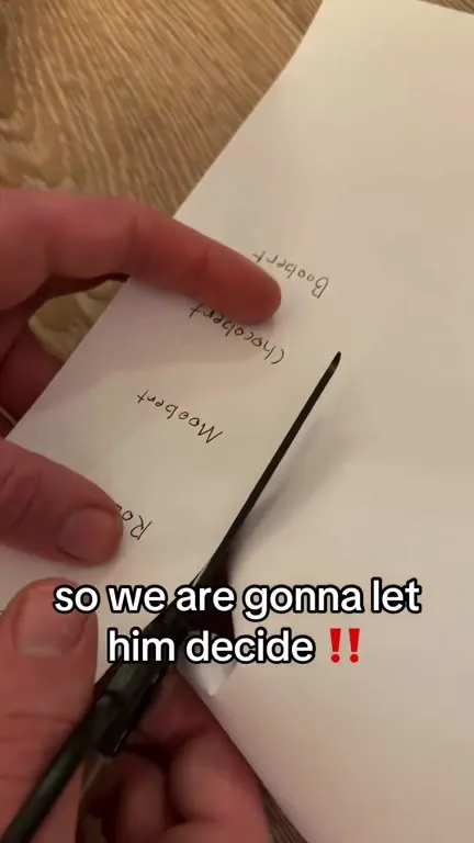 Kitten Chooses His Own Name