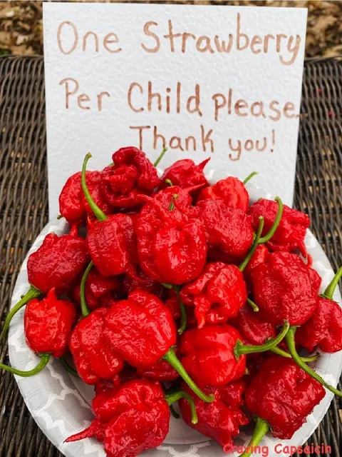 One Strawberry Per Child