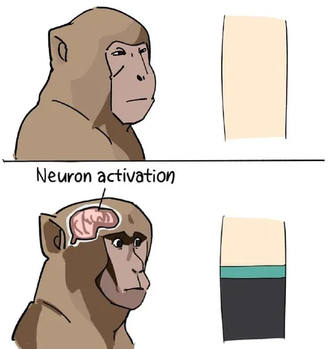 Neuron Activation Monkey