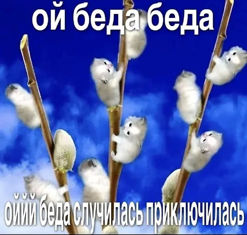 Ой беда случилась приключилась