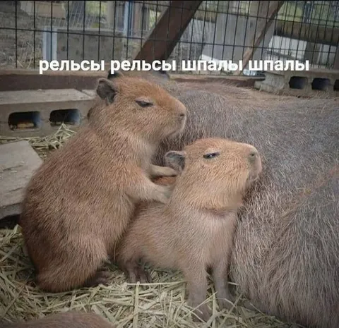 Рельсы рельсы шпалы шпалы