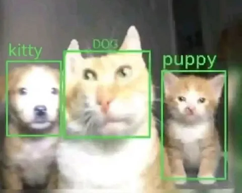Cat Labeled as Dog