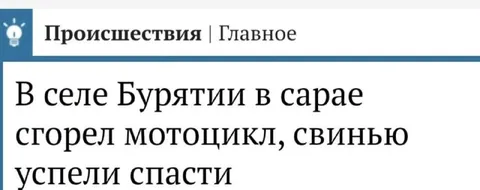 Свинью успели спасти