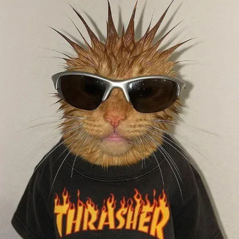 Thrasher Mohawk Cat