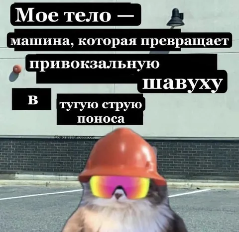 Машина превращает шавуху в понос
