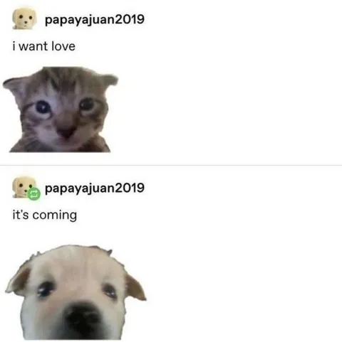 I Want Love, It’s Coming