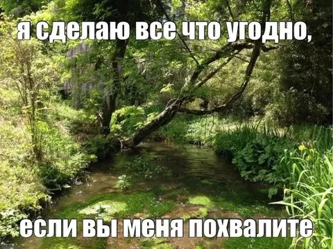 Сделаю всё за похвалу
