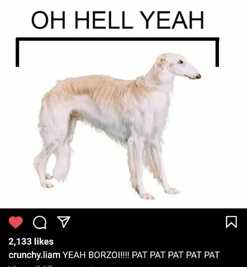 Oh Hell Yeah Borzoi