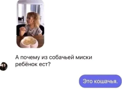 Это кошачья миска