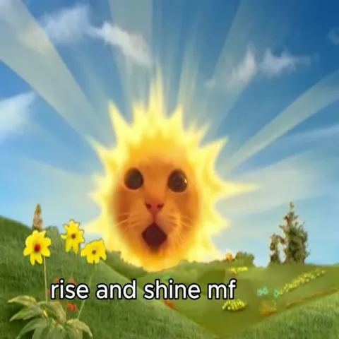 Rise and Shine Cat Sun