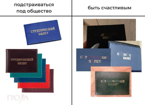 Студенческий билет или счастье