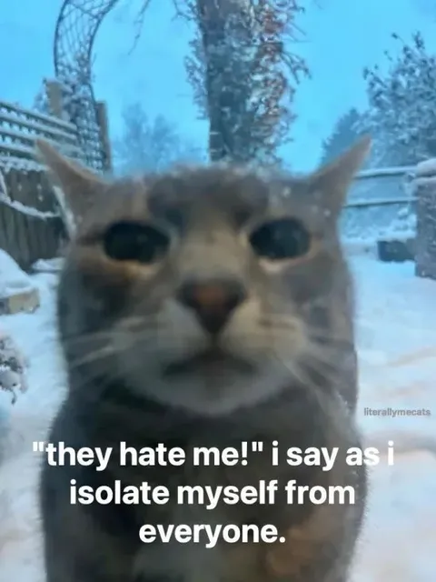 Cat Isolating Itself