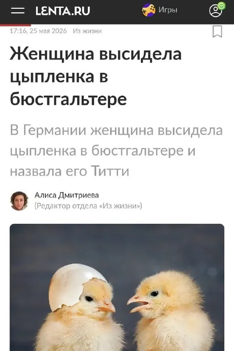 Цыплёнок в бюстгальтере