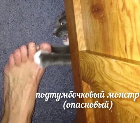 Поддумбочковый монстр