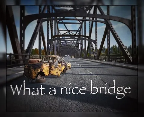 What a Nice Bridge