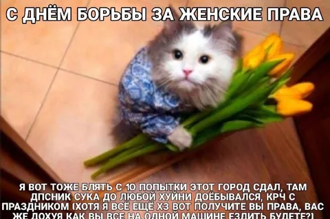 Кот с тюльпанами на 8 марта