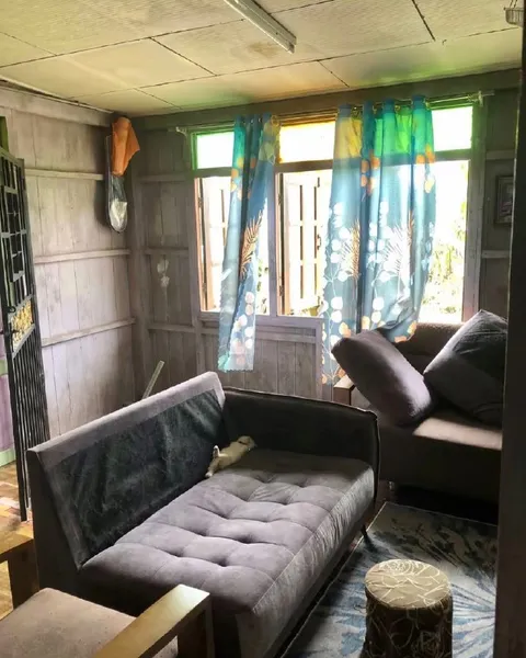 Кот прячется в диване