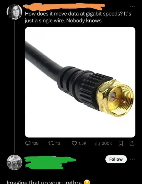 Gigabit Data Through Your Urethra