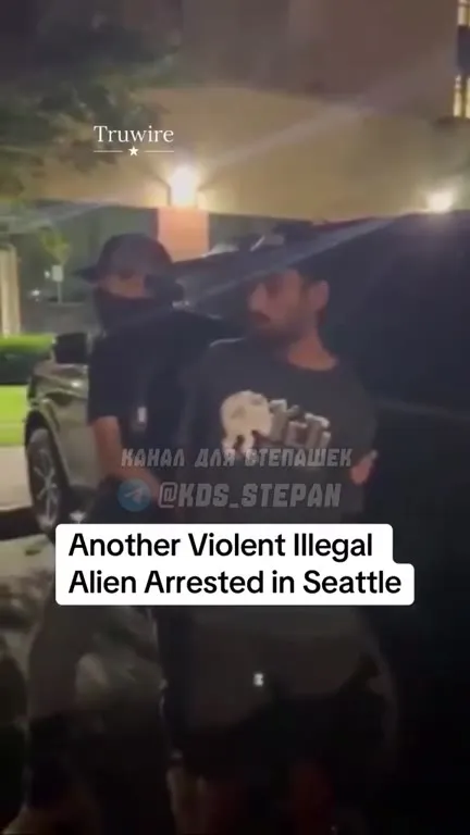 Another Violent Alien Arrested