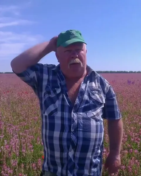 Лысый мужик в поле