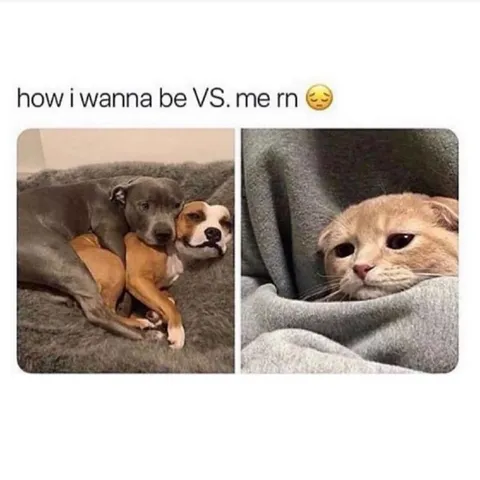 How I Wanna Be vs Me RN