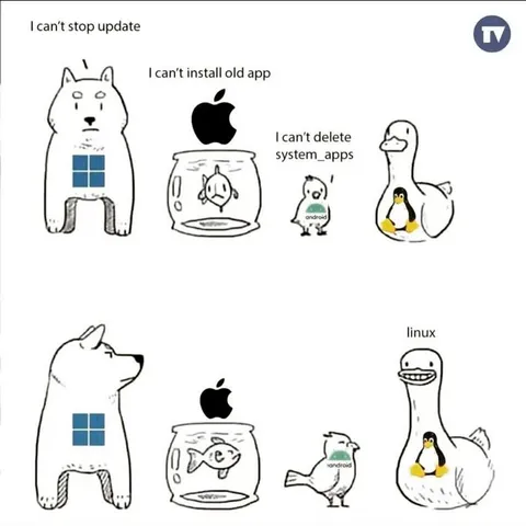 Operating System Problems