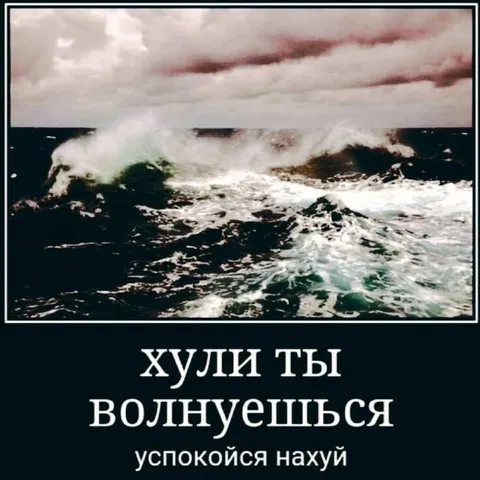 Успокойся нахуй