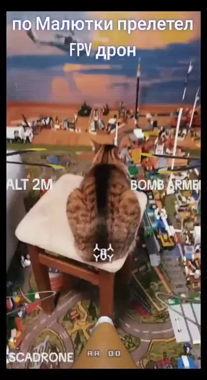 FPV-дрон прилетел к коту