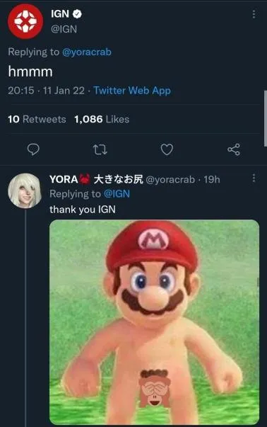 Thank You IGN Mario