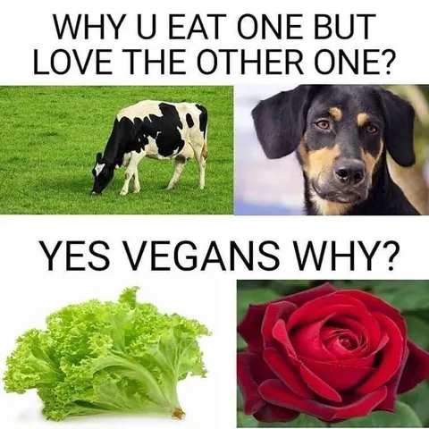 Why Eat One But Love the Other