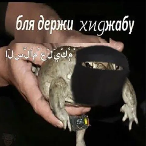 Лягушка в хиджабе