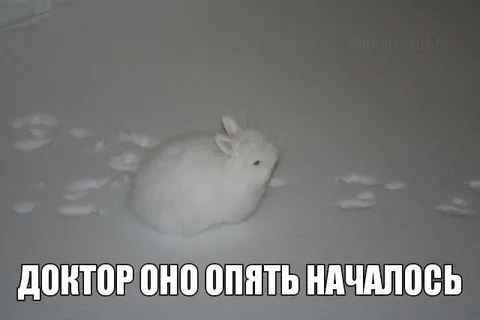 Доктор, оно опять началось