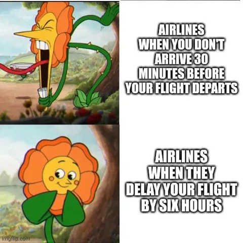 Airlines Double Standards
