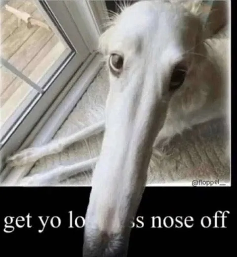 Get Your Nose Off