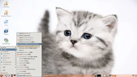 子猫がWindowsを操作している