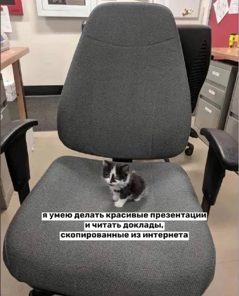 Кот умеет делать презентации